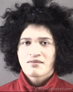 Mugshot of ELVIS RESENDIZNOYOLA