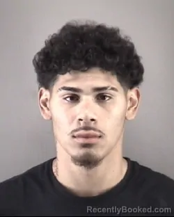 Mugshot of GIOVANNI ANDRES SANTOS