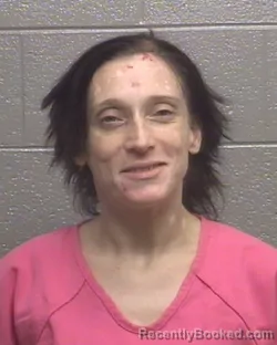 Mugshot of HEATHER NICOLE FLETCHER