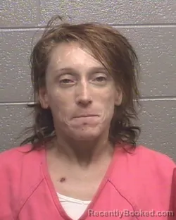 Mugshot of HEATHER NICOLE FLETCHER booked in Forsyth County, North Carolina on May 4, 2026