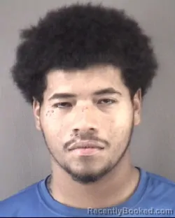 Mugshot of Irvin Silvapenalosa