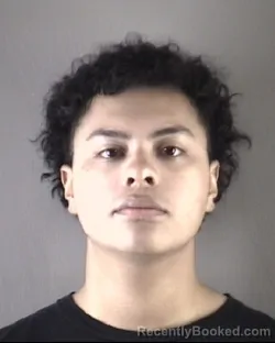 Mugshot of JESSIE BERNARDINODOMINGUEZ