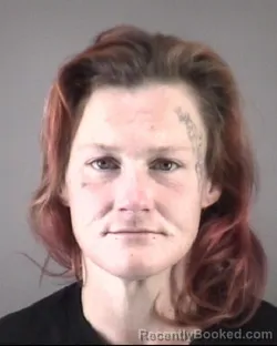 Mugshot of JENNIFER LYNN BARNES