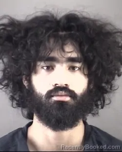 Mugshot of Jose Ivan Chaulizantcollado