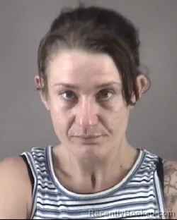 Mugshot of JEANINE NICOLE COUSINO booked in Forsyth County, North Carolina on August 4, 2026