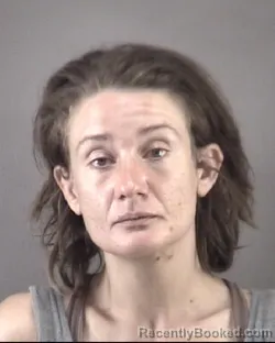 Mugshot of Jeanine Nicole Cousino booked in Forsyth County, North Carolina on September 10, 2026