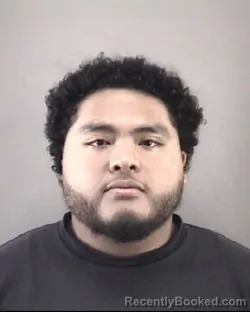 Mugshot of JENRY PAZ CISNEROS