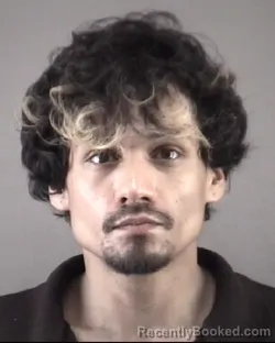 Mugshot of JORGE LUCAS FRITTS