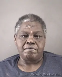 Mugshot of JOYCE ANN HARRIS