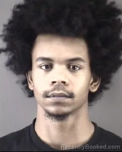 Mugshot of JESSIE LEE HARRIMAN