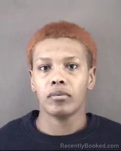 Mugshot of JYNESIS MARSHAY JOHNSON