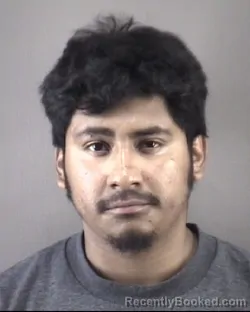 Mugshot of JOSE ALEXIS MEZANAVIDAD