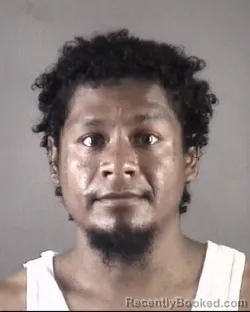 Mugshot of JAIME HERMINIO MARICHECORTEZ