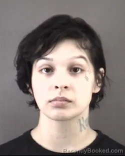 Mugshot of JADEY KAYLEEN TREJO