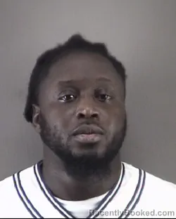 Mugshot of JAMES ELVIS WILLIAMS