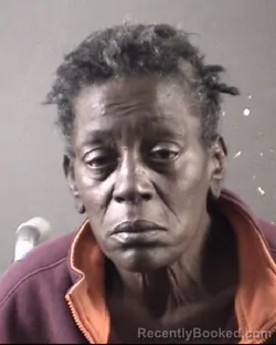 Mugshot of JOHNNIE MAE YOUNG