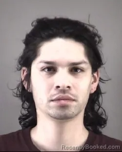 Mugshot of LUIS EMETT FLORESTINAJERO