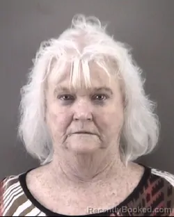 Mugshot of Linda Gail Long booked in Forsyth County, North Carolina on July 13, 2026