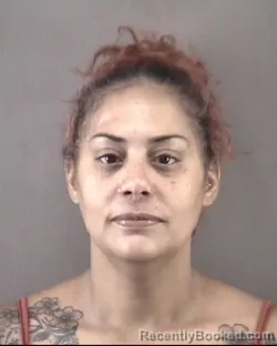 Mugshot of LUZ MARIE LAUREANO booked in Forsyth County, North Carolina on July 19, 2026