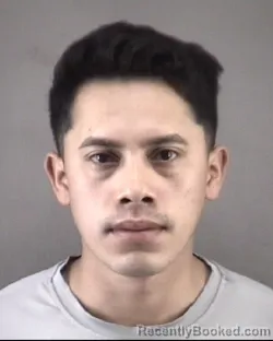 Mugshot of LEONEL RAMIREZHERNANDEZ