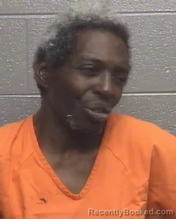 Mugshot of LATISA SHANTA WALL