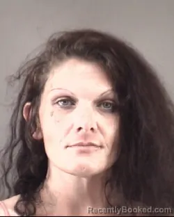 Mugshot of Meagan Dudley Hutchens booked in Forsyth County, North Carolina on September 14, 2026