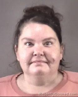 Mugshot of Meghan Ellen Lineberry booked in Forsyth County, North Carolina on August 29, 2026