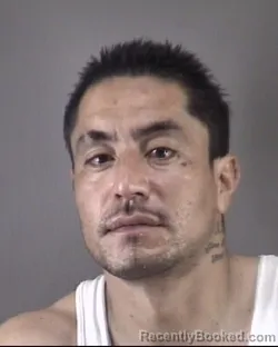 Mugshot of MAXIMINO MALDONADO