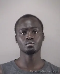 Mugshot of MAMADOU SARR booked in Forsyth County, North Carolina on May 3, 2026