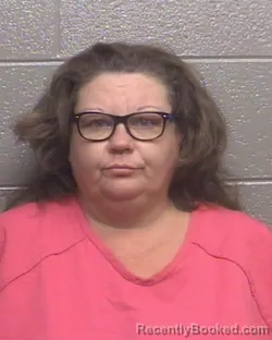 Mugshot of MENDY LEE TEW