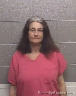 Mugshot of NANCY JEAN ELLISON booked in Forsyth County, North Carolina on April 7, 2026