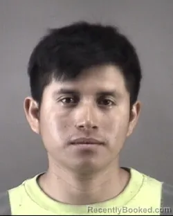 Mugshot of OLMAN VITALINO LOPICGUZMAN