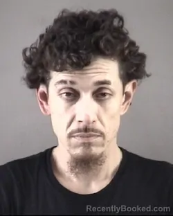 Mugshot of PEDRO CASTILLO