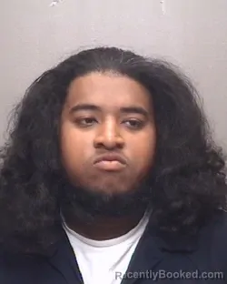 Mugshot of PAULO ROQUE SALINAS