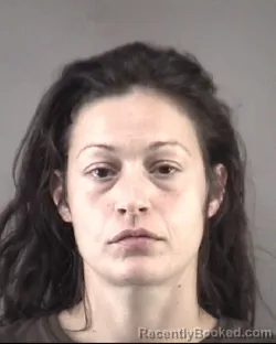 Mugshot of Rebecca Colleen Dimmer booked in Forsyth County, North Carolina on July 10, 2026