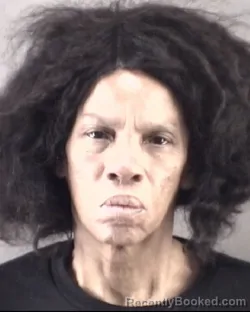 Mugshot of ROBIN DENISE HANDY