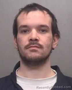 Mugshot of RYAN JOSHUA LANE