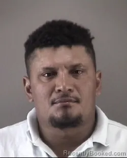 Mugshot of ROLBIN JOHAN MEJIARAMIREZ