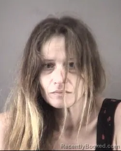 Mugshot of SHANNON MARIE CHILDRESS booked in Forsyth County, North Carolina on May 26, 2026