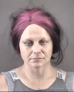 Mugshot of SHARON LEANN DRIVER booked in Forsyth County, North Carolina on August 3, 2026