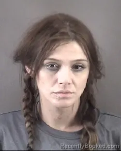Mugshot of SARAH ELIZABETH SHEW booked in Forsyth County, North Carolina on June 17, 2026