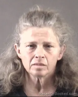 Mugshot of SHARON RENEE TONKER