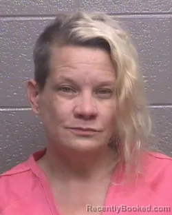 Mugshot of TAMIS MARIE BREWER