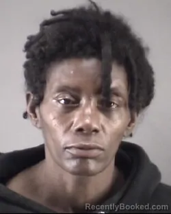 Mugshot of TESSA SERENE RICE