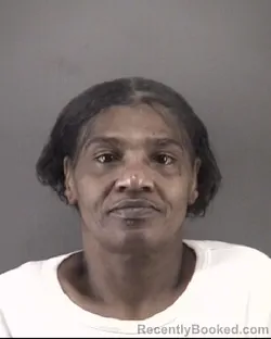Mugshot of VERA LYNETTE LITTLEJOHN booked in Forsyth County, North Carolina on April 9, 2026