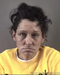 Mugshot of WENDY LYNN RILEY