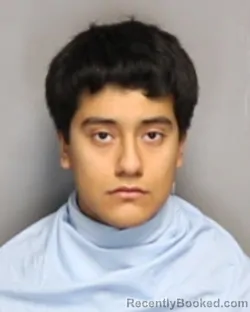 Mugshot of Jovani Guzman booked in Champaign County, Illinois on October 5, 2026