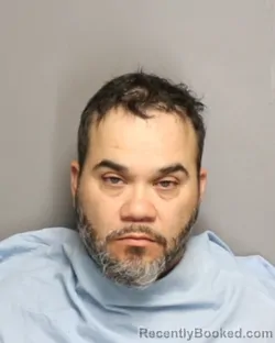 Mugshot of Steven Maya booked in Champaign County, Illinois on October 25, 2026