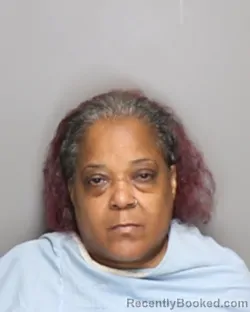 Mugshot of Sheresa Denise Johnson booked in Champaign County, Illinois on October 2, 2026