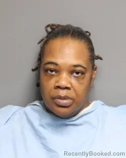 Mugshot of SANDRA RENEE HATCHETT booked in Champaign County, Illinois on April 28, 2026